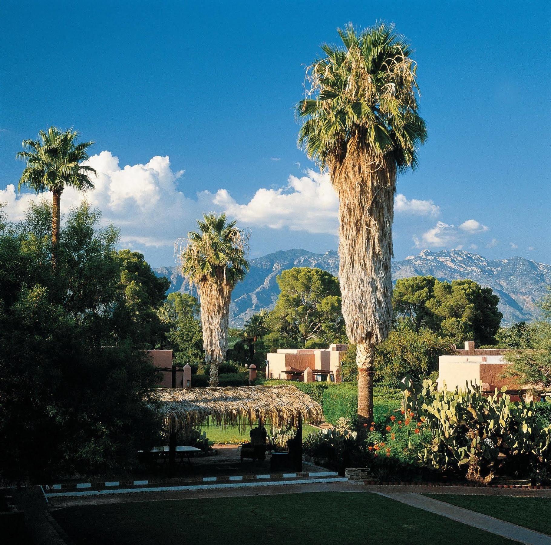 Arizona Inn Tucson Exteriér fotografie